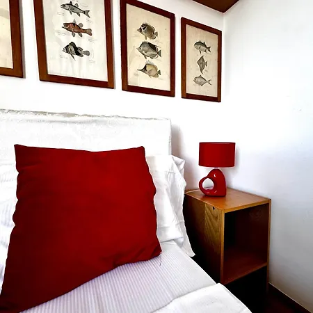 Apartment Penthouse Bellavista